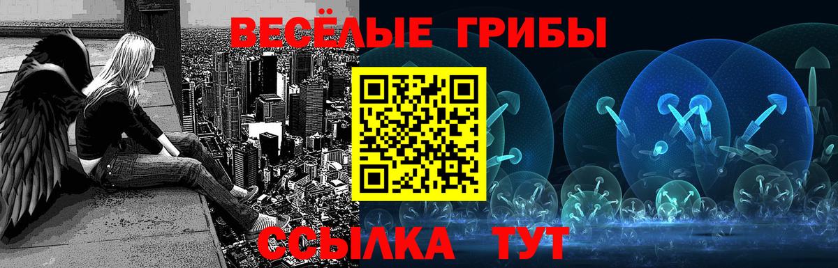 Псилоцибиновые грибы GOLDEN TEACHER  Вход с VPN  Тайшет  Галлюциногенные грибы Psilocybe 